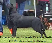 rue-Fbf-present-Sutton-a