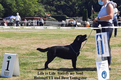 rue-soul-ausstellung-hoistorf